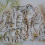 Badende olifanten